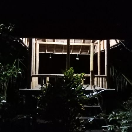 Bali Mountain Forest Cabin Penebel Ngoại thất bức ảnh