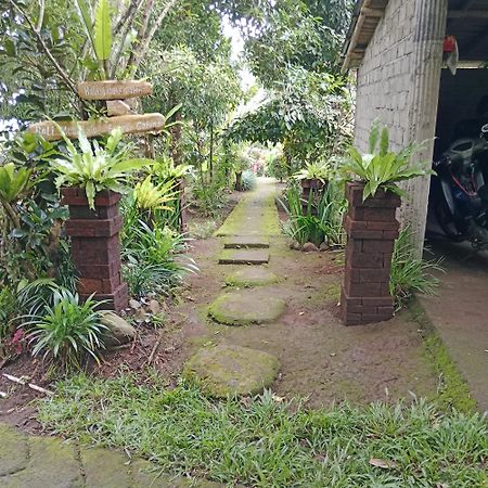 Bali Mountain Forest Cabin Penebel Ngoại thất bức ảnh