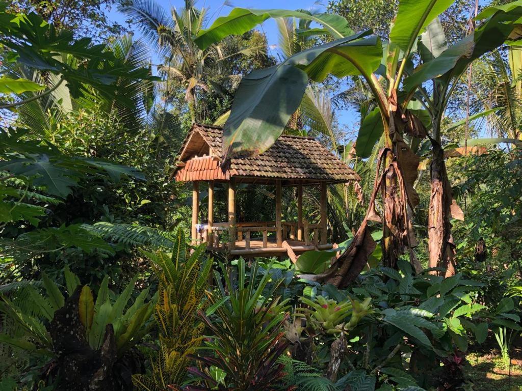 Bali Mountain Forest Cabin Penebel Ngoại thất bức ảnh