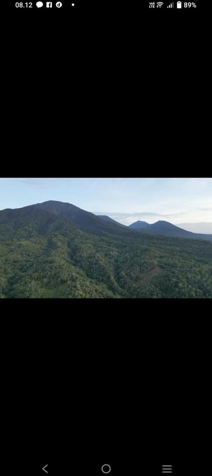 Bali Mountain Forest Cabin Penebel Ngoại thất bức ảnh
