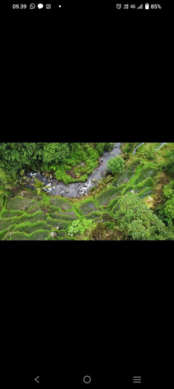 Bali Mountain Forest Cabin Penebel Ngoại thất bức ảnh