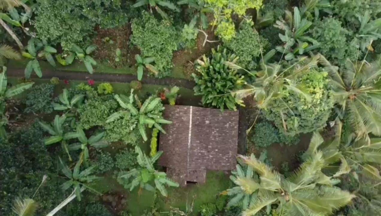 Bali Mountain Forest Cabin Penebel Phòng bức ảnh