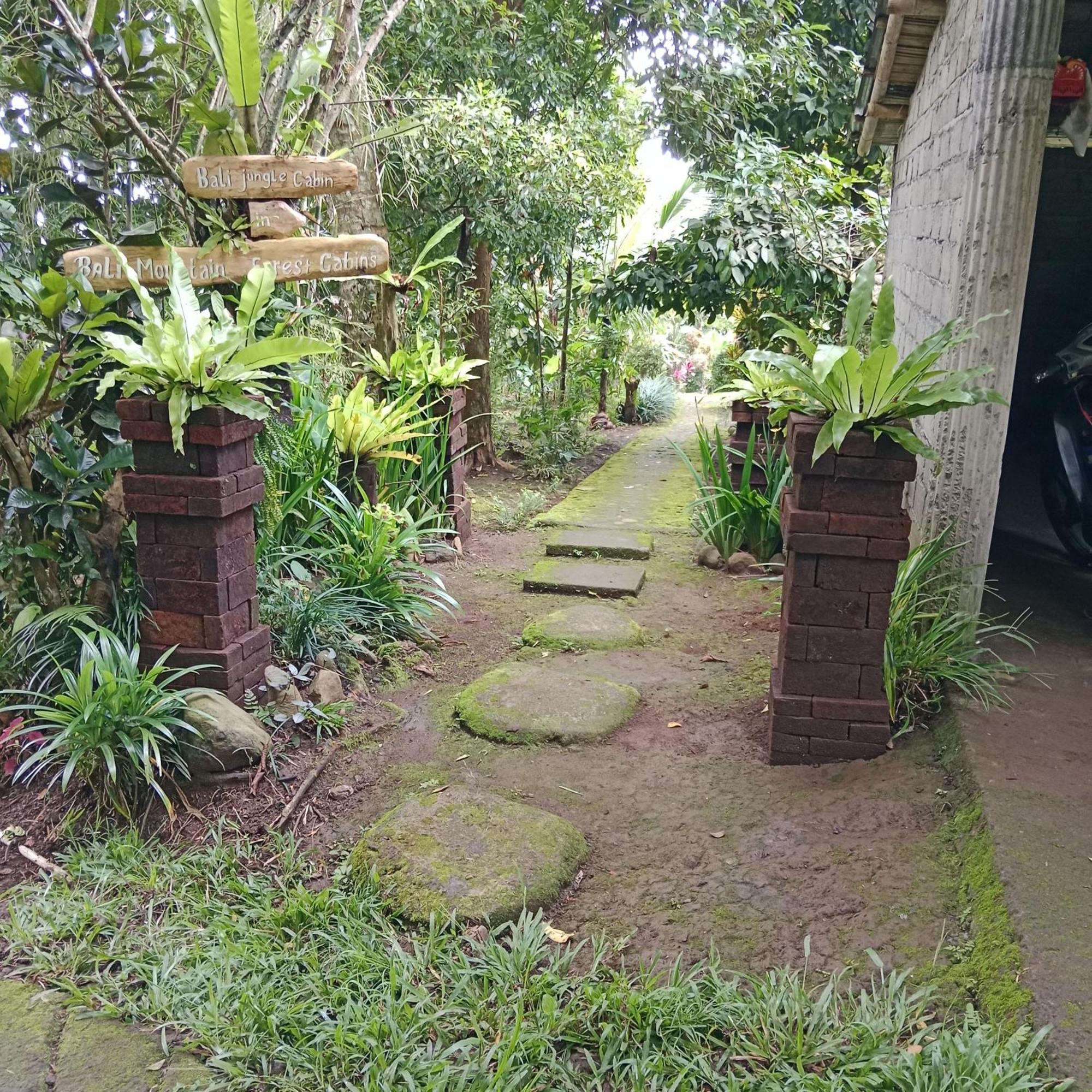 Bali Mountain Forest Cabin Penebel Phòng bức ảnh