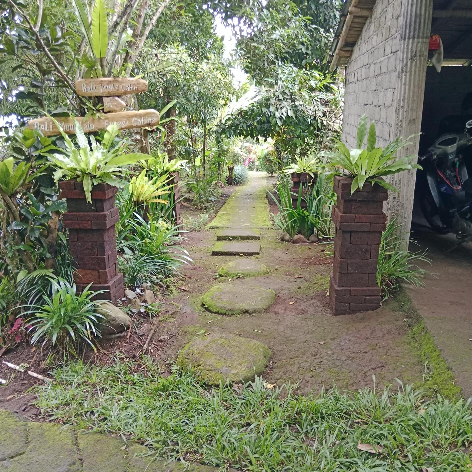 Bali Mountain Forest Cabin Penebel Ngoại thất bức ảnh
