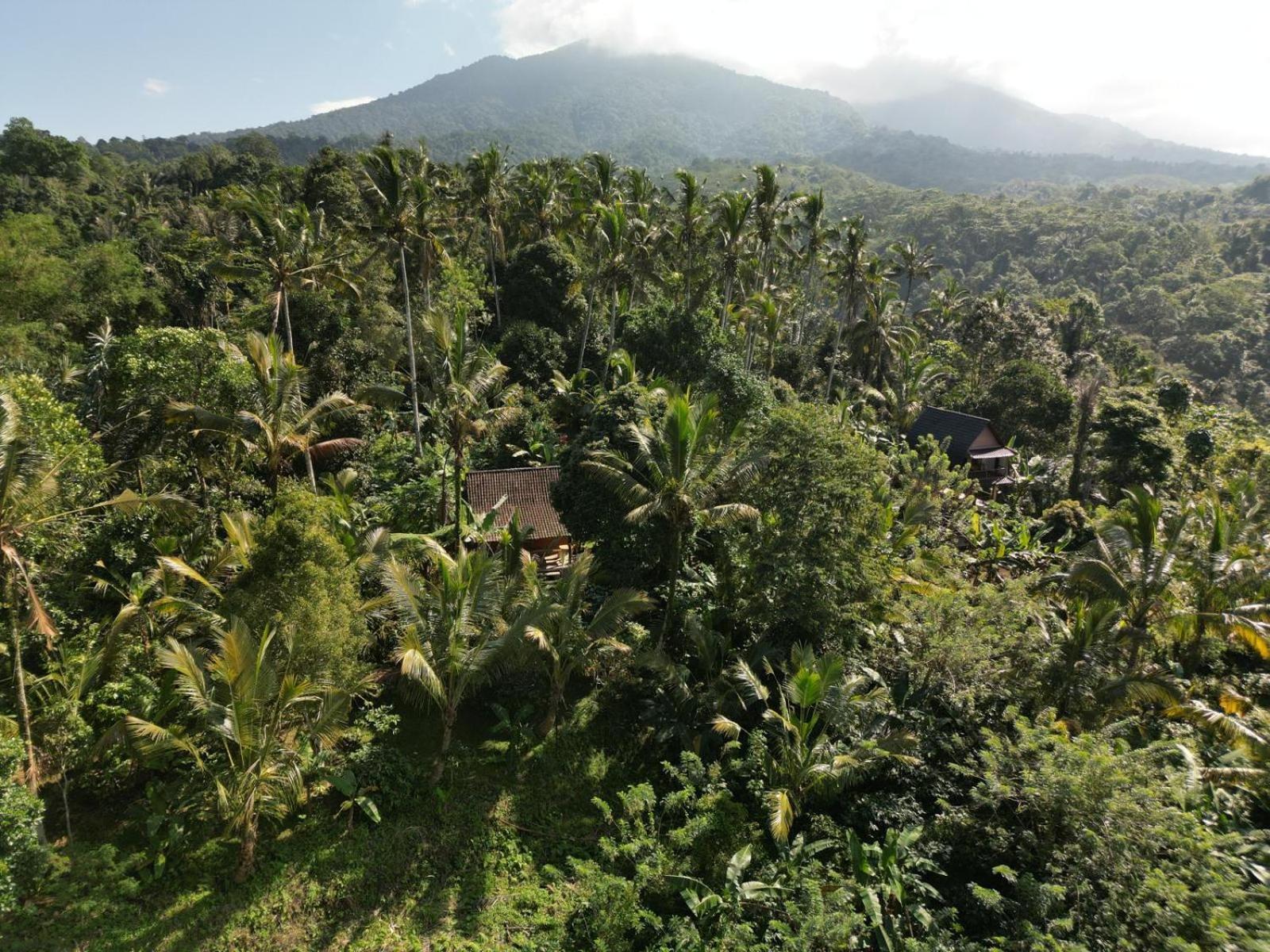 Bali Mountain Forest Cabin Penebel Phòng bức ảnh
