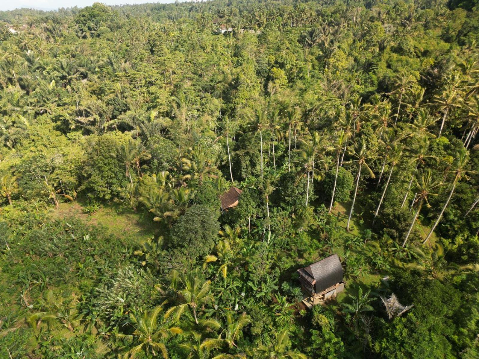 Bali Mountain Forest Cabin Penebel Phòng bức ảnh