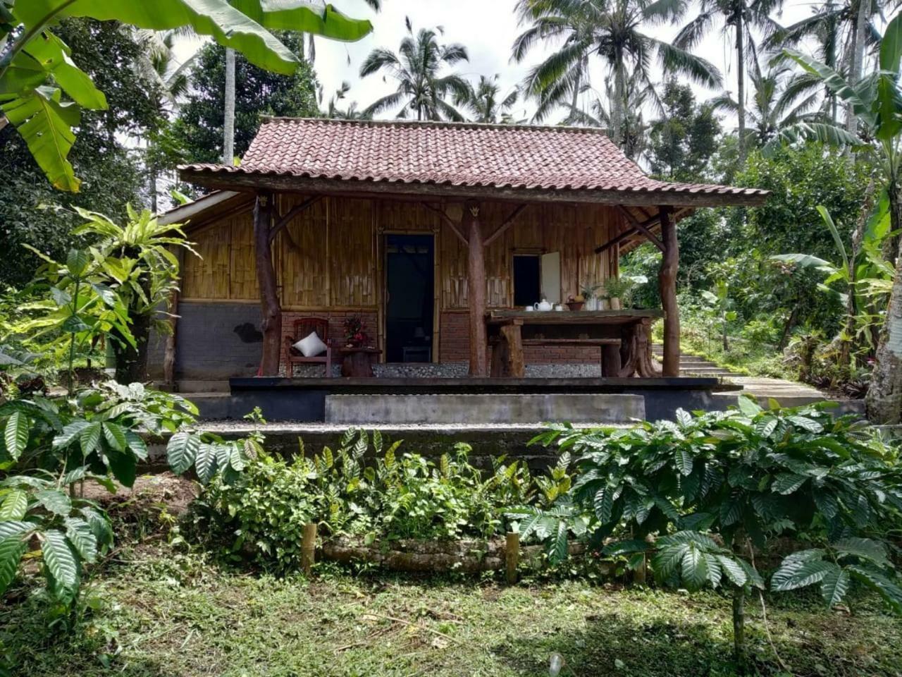 Bali Mountain Forest Cabin Penebel Ngoại thất bức ảnh