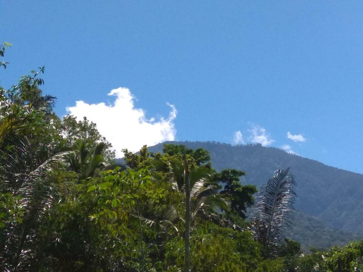 Bali Mountain Forest Cabin Penebel Ngoại thất bức ảnh