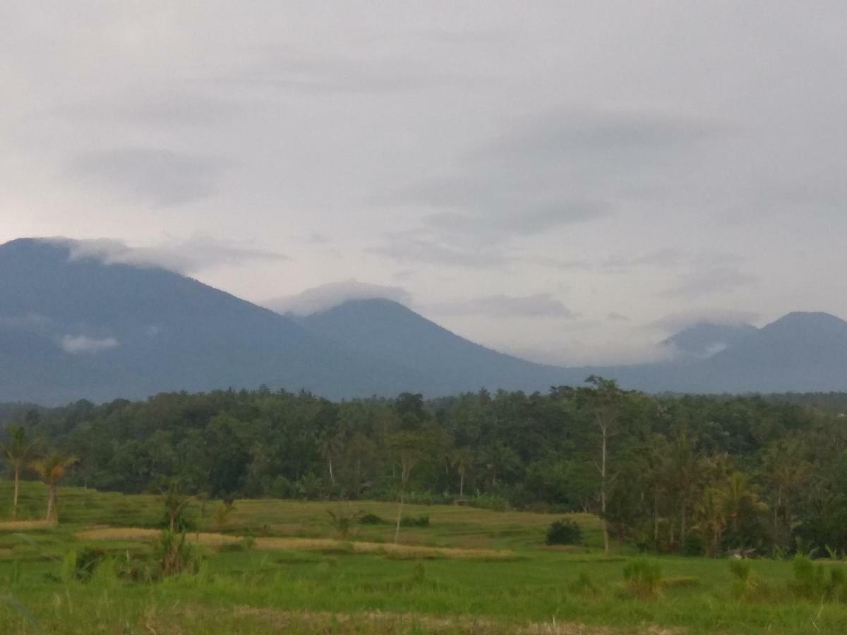 Bali Mountain Forest Cabin Penebel Ngoại thất bức ảnh
