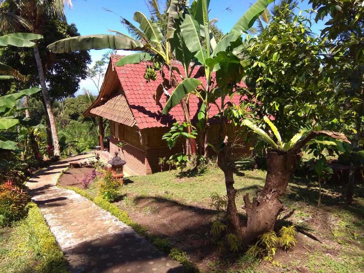 Bali Mountain Forest Cabin Penebel Ngoại thất bức ảnh