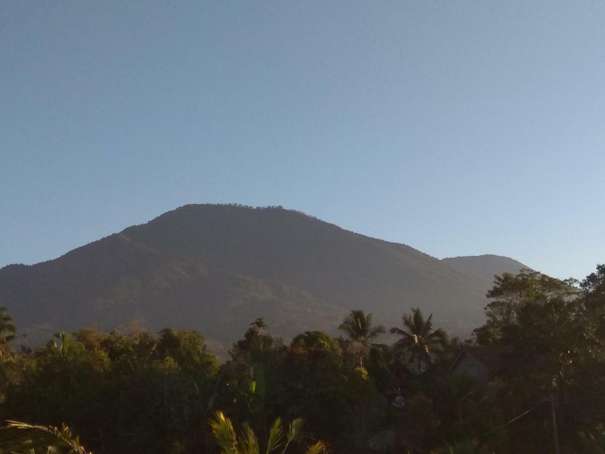 Bali Mountain Forest Cabin Penebel Ngoại thất bức ảnh