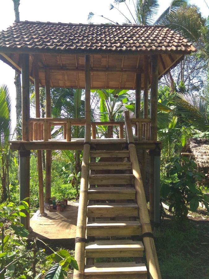 Bali Mountain Forest Cabin Penebel Phòng bức ảnh